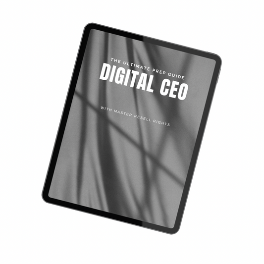 HOW TO BE A SUCCESSFUL DIGITAL CEO GUIDE (WITH RESELL RIGHTS)